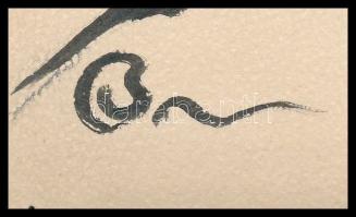 Bardócz Árpád (1882-1938): Gróf széki Teleki László (1811-1861) politikus portréja. Tus, papír. Jelz...