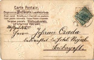 Tyrolean folklore. Art Nouveau, floral, Emb. litho (EK)