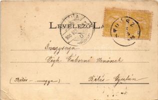 1900 Stószfürdő, Stoósz-fürdő, Kúpele Stós; Mária villa. Wlaszlovits Gusztáv kiadása / villa, spa (E...