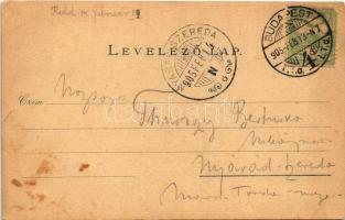 1905 Budapest VIII. Hotel Pannonia szálloda reklámlapja, belsők. Art Nouveau, floral (EB)