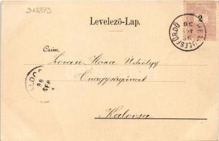 1899 (Vorläufer) Herkulesfürdő, Herkulesbad, Baile Herculane; Herkulesfürdő a Schnellershegyről látv...