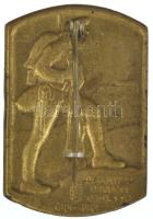 Osztrák-Magyar Monarchia ~1916. "Nyitrai 14. Honvéd Gyalogezred 1914-1916" bronz sapkajelv...