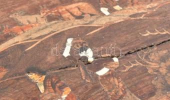 Japonizáló stílusú fa asztalka, lábai elefánt alakos faragvánnyal díszítettek, felületén gazdag inta...