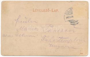 1917 Karánsebes, Caransebes; Rosenfeld H. áruházának üzlete és Lichtneckert szálloda a zöld fához. H...