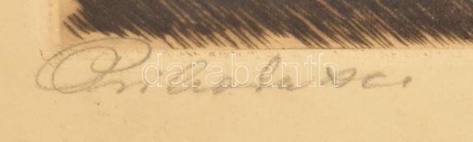 Prihoda István (1891-1965): Lányka. Színezett rézkarc, papír, jelzett, lap széle kissé sérült és fol...