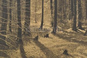 Olgyai Viktor (1870-1929): Erdőrészlet. Rézkarc, papír, jelzett, Olgyai Viktor autográf ajánlási sor...