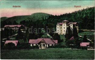 Stájerlak, Steierlak, Stájerlakanina, Steierdorf, Anina; Nyaraló. Hollschütz kiadása / villas