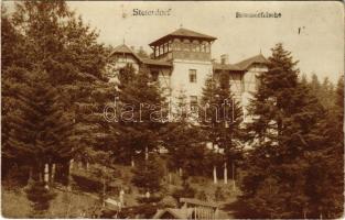 1923 Stájerlak, Steierlak, Stájerlakanina, Steierdorf, Anina; Sommerfrische / nyaraló / villa. Hollschütz photo (fl)