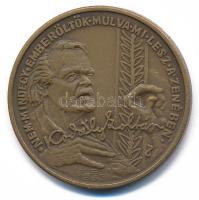 Peternák Gusztáv (1928-2003) 1982. "Bartók Béla 1881-1981 / Kodály Zoltán 1882-1982" bronz...