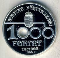 1993. 1000Ft Ag "Labdarúgó VB" T:PP