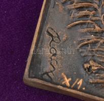 Rácz Edit (1936- ): Nyár. Bronz, bársonnyal bevont fára applikálva. Jelzett, számozott (10/I.), 21x1...