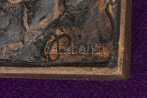 Rácz Edit (1936- ): Ősz. Bronz, bársonnyal bevont fára applikálva. Jelzett, számozott (10/I.), 21x12...