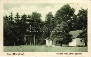 1930 Borosjenő, Borosineu, Ineu; Gradina verde (Arena sportiva) / Park és sportpálya / park and sport field (EK)