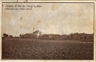 Bihardiószeg, Diosig; állami pincék / Pivnitele de Stat din Diosig in Bihor / wine cellars + &quot;1940 Nagyvárad visszatért&quot; So. Stpl (fa)