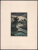 Nagy Nándor (1894-1979): Nyárádszentanna (Erdély), 1927. Kézzel színezett linómetszet, papír, jelzett, paszpartuban, 14×10 cm. Ritka!