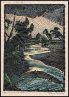 Nagy Nándor (1894-1979): Nyárádszentanna (Erdély), 1927. Kézzel színezett linómetszet, papír, jelzet...