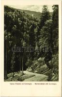 Radnaborberek, Valea Vinului; Borberektal mit Corongis / Borberek-völgy a Korongyos csúccsal. G. Zikeli kiadása Nr. 9. 1925. / mountain peak, valley