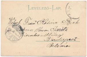 ~1901 Buziás, Fedett sétány. Montázs fürdővendégekkel / colonnade. Montage with spa guests (szakadás...