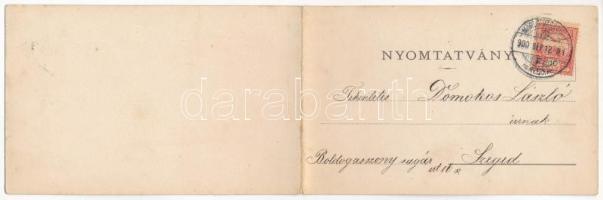 1900 Marosvásárhely, Targu Mures; Fő tér, Dudutz, Fey József, Widder Antal, Bogdánffy István üzlete....