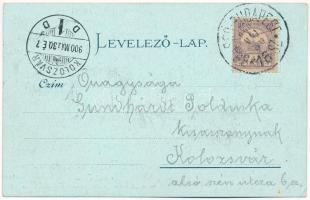 1900 Kolozsvár, Cluj; látkép. Schuster Emil kiadása / general view. Art Nouveau, floral, litho (EK)