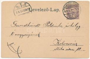 1901 Nagyszentmiklós, Sannicolau Mare; Czenczinger szálloda kerthelyisége, Fő utca, Fischof Vilmos d...