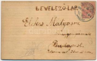 1904 Sepsiszentgyörgy, Sfantu Gheorghe; Újévi üdvözlet falemezen / New Year greeting on wood panel