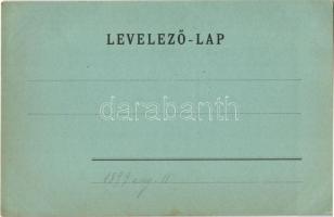 1899 (Vorläufer) Arad, Szabadság tér, Vértanú szobor, Schwarz Testvérek, Ries J. és Tása üzlete. Ker...