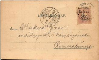 1899 (Vorläufer) Arad, Andrássy tér. Lengyel L. műintézete / square