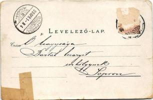 1899 (Vorläufer) Arad, 13 Vértanú szobra, Városház tér, Városháza, lóvasút. Kerpel Izsó kiadása / Ma...