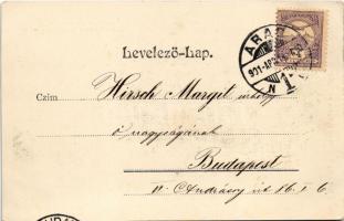 1901 Arad, Központi szálloda, Nagy üzlete. Honisch udvari fényképész felvételei után. Pick Testvérek...