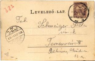 1901 Arad, A 13 vértanú utolsó útja és kivégzési helye. Kerpel Izsó kiadása, Honisch L.J. fényképész...