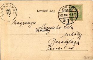 1902 Arad, Pénzügyi palota. Szecessziós magyar zászlós litho keret / Financial Palace. Art Nouveau l...