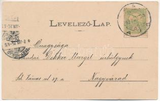 1902 Arad, Lawn-Tennis Alée / Teniszpálya az aradi várban. Berger Manó kiadása. Honisch udvari fényk...