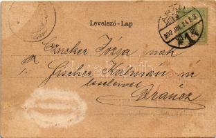 1902 Arad, Szabadság tér, piac, üzletek. Szecessziós címeres litho keret / square, market, shops. Ar...