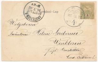 1902 Arad, Városháza. Szecessziós virágos litho keret / town hall. Art Nouveau, Floral, litho frame ...