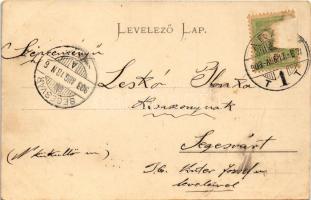 1903 Arad, Színház, bazár, ünnepség. Rozsnyay fivérek felvétele / theatre, bazaar, celebration (ázot...