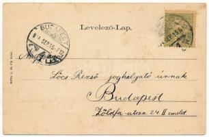 1904 Arad, Baross parki kioszk. Szecessziós virágos keret. Réthy L. és fia kiadása / Kiosk. Art Nouv...