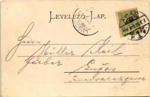 1904 Arad, Thököly tér, piac, Hoffmann József, Milos Mihály üzlete. Bloch H. kiadása / square, marke...