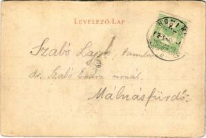 Tusnád-fürdő, Baile Tusnad; Szent Anna tó / Sanct Anna lake. Art Nouveau, floral (Rb)