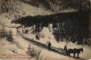 Rahó, Rachov, Rahiv, Rakhiv; Vilhováti völgy, fakitermelés télen lószánnal. Magyar Turista Egyesület Máramarosi osztálya, Benkő Miklós kiadása / logging in winter, horse sled (EK)