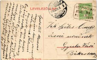 1910 Tiszalök, utca részlet. Szilágyi Kálmán kiadása + "KISFÁSTANYA" postügynökségi bélyeg...