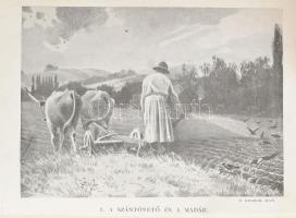 Hermann Ottó: A madarak hasznáról és káráról. Csörgey Titusz képeivel. Bp., 1901., (Franklin-ny.), 2...