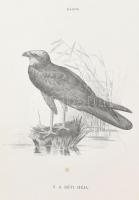 Hermann Ottó: A madarak hasznáról és káráról. Csörgey Titusz képeivel. Bp., 1901., (Franklin-ny.), 2...