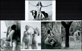 Eltérő időben és különféle helyszíneken készült szolidan erotikus felvételek, 5 db modern nagyítás, 15x10 cm