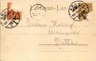 1905 Arad, Városháza. Ifj. Klein Mór kiadása. Montázs hölgyekkel / town hall. Montage with ladies (R...