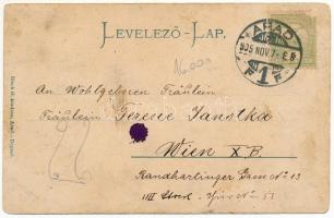 1905 Arad, Városház tér, Andrássy tér, Szabadság tér. Bloch H. kiadása. Szecessziós pillangós hölgy ...