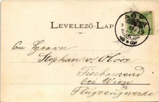 1916 Arad, Baross parki kioszk, étterem. Kerpel Izsó kiadása / kiosk, restaurant (r)