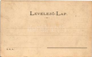 Arad, Nemzeti színház, múzeum, sörcsarnok és étterem, Nagy Lajos szállodája a Fehér Kereszthez / tha...