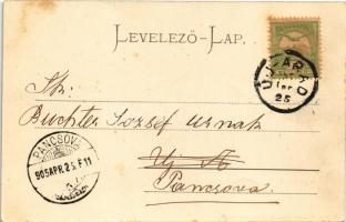 1905 Arad, Újarad, Aradul Nou; Fő utca. Mayr Lajos kiadása / main street (fl)