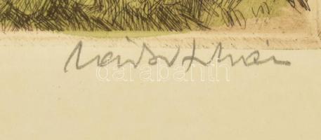 Zádor István (1882-1963): Kastély várromal, színezett rézkarc, papír, jelzett, kartonra kasírozva, 2...